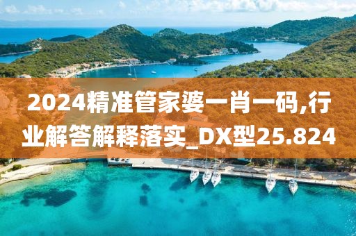 2024精準管家婆一肖一碼,行業(yè)解答解釋落實_DX型25.824