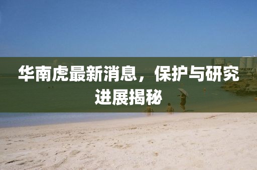 華南虎最新消息，保護(hù)與研究進(jìn)展揭秘