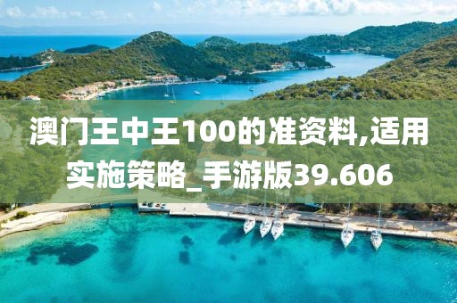 澳門王中王100的準(zhǔn)資料,適用實(shí)施策略_手游版39.606