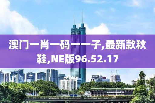 澳門一肖一碼一一子,最新款秋鞋,NE版96.52.17