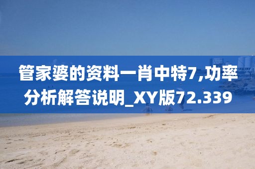 管家婆的資料一肖中特7,功率分析解答說明_XY版72.339