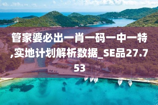 管家婆必出一肖一碼一中一特,實地計劃解析數(shù)據(jù)_SE品27.753