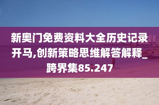 新奧門免費(fèi)資料大全歷史記錄開馬,創(chuàng)新策略思維解答解釋_跨界集85.247