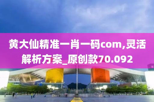 黃大仙精準(zhǔn)一肖一碼com,靈活解析方案_原創(chuàng)款70.092