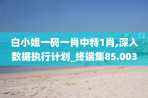 白小姐一碼一肖中特1肖,深入數(shù)據(jù)執(zhí)行計(jì)劃_終端集85.003