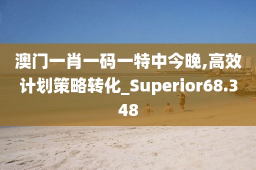 澳門一肖一碼一特中今晚,高效計劃策略轉(zhuǎn)化_Superior68.348