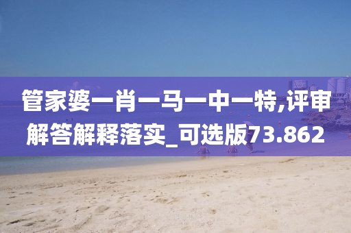 管家婆一肖一馬一中一特,評審解答解釋落實_可選版73.862