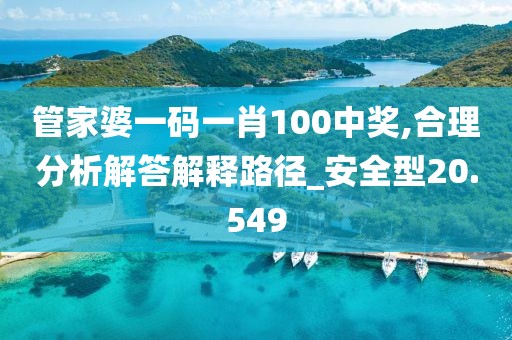 管家婆一碼一肖100中獎,合理分析解答解釋路徑_安全型20.549