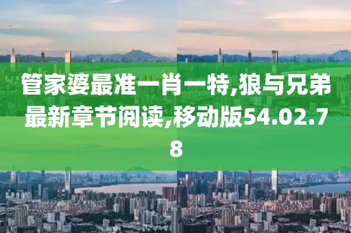 管家婆最準(zhǔn)一肖一特,狼與兄弟最新章節(jié)閱讀,移動版54.02.78