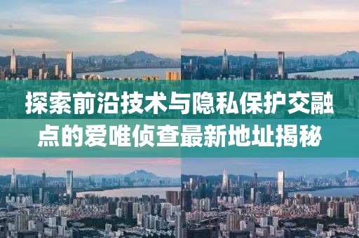 探索前沿技術(shù)與隱私保護(hù)交融點(diǎn)的愛唯偵查最新地址揭秘