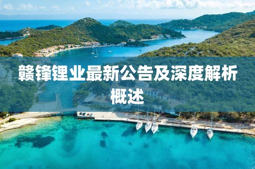 贛鋒鋰業(yè)最新公告及深度解析概述