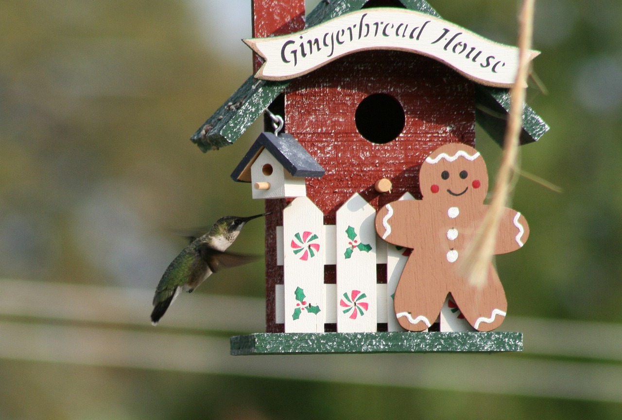 國民最新斗地主，文化現(xiàn)象與智能科技的完美融合