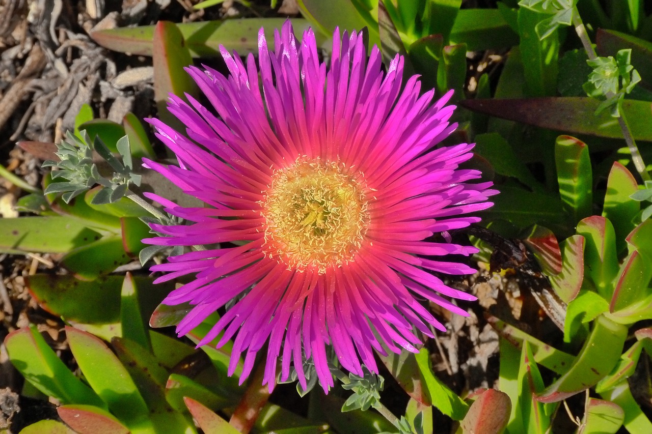 精雕最新版，工藝與技術(shù)的完美融合