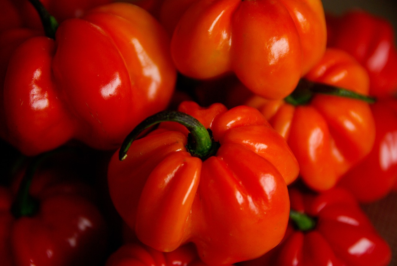 新澳2024正版資料免費(fèi)公開(kāi),小辣椒最新款,專(zhuān)屬款160.09.68