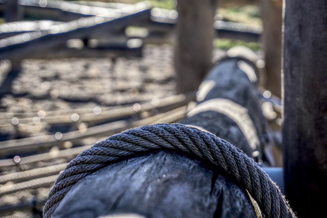 新澳門今晚開特馬結(jié)果查詢,最新bl游戲,動態(tài)版26.15.34