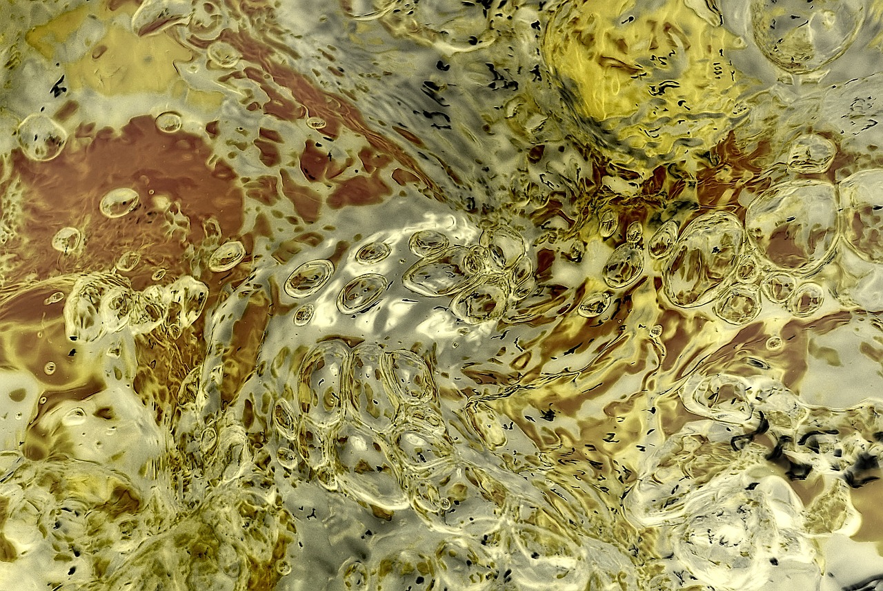 2024澳門特馬今晚開獎一,保定南湖春曉最新動態(tài),RemixOS41.63.38