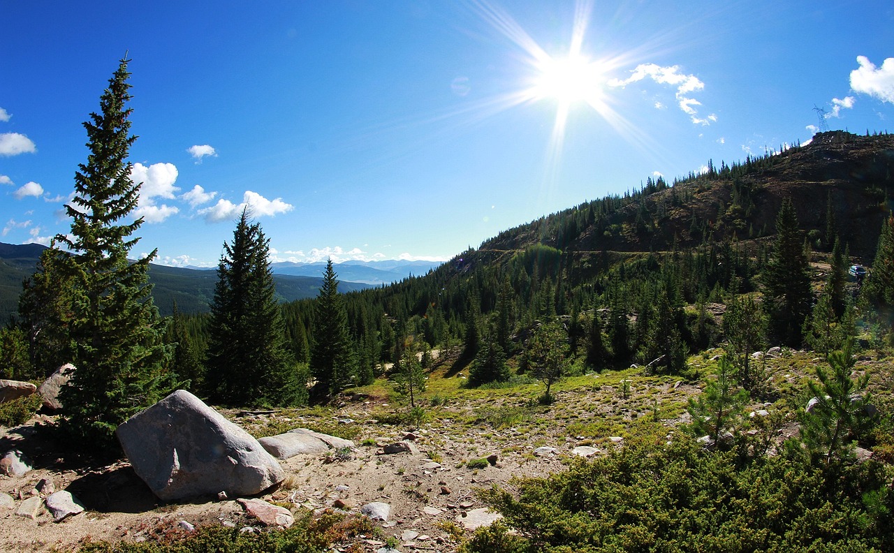 衡南縣最新人事任免信息公布，人事任免動(dòng)態(tài)更新