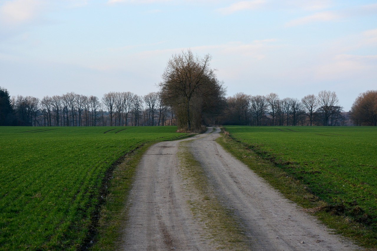 農(nóng)村荒山承包最新政策解讀與實(shí)施建議，政策解讀與行動(dòng)指南