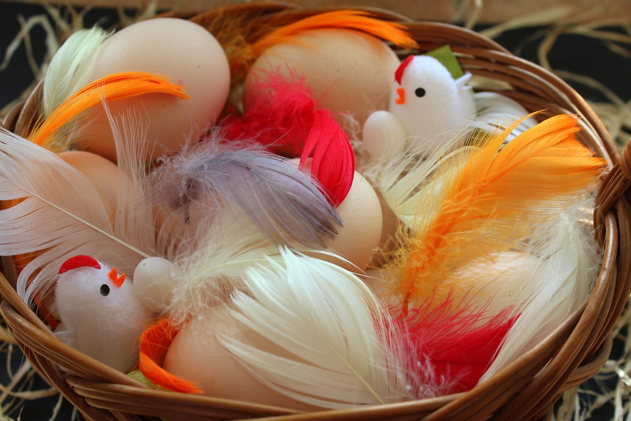 2024新澳今晚資料雞號幾號,情境解答解釋落實_透明款25.122