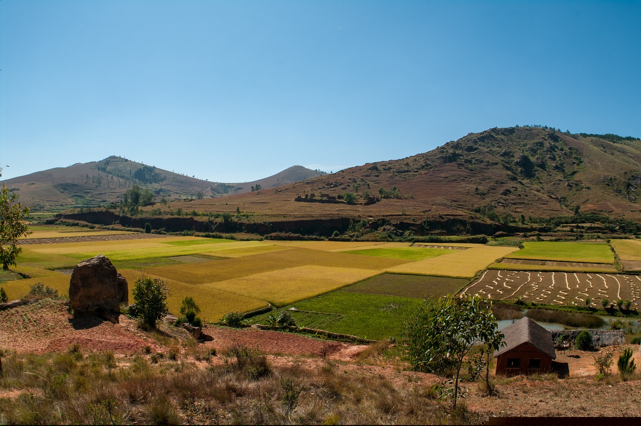 濟(jì)西濕地公園生態(tài)恢復(fù)與發(fā)展最新動(dòng)態(tài)揭秘