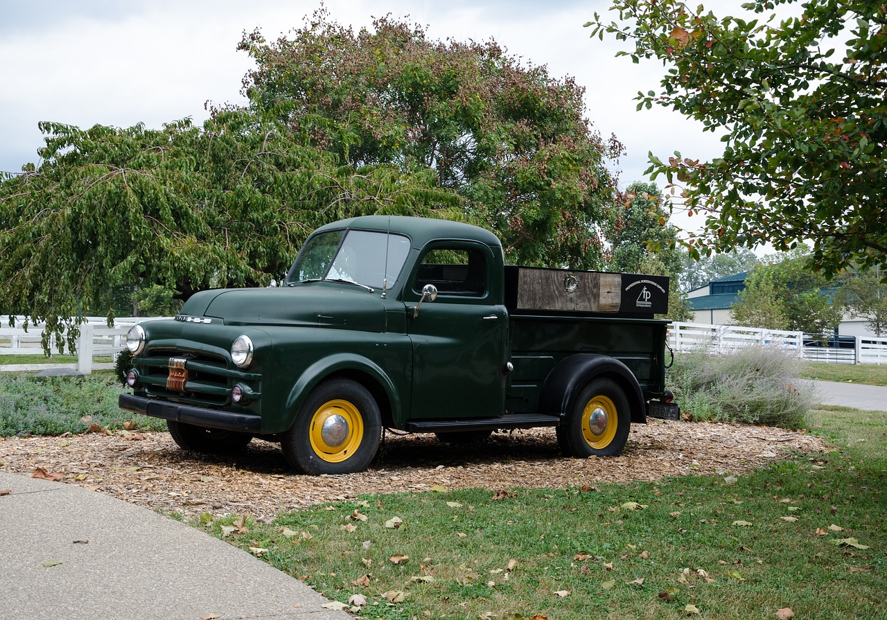 龍南高鐵新區(qū)最新動(dòng)態(tài)全面解讀