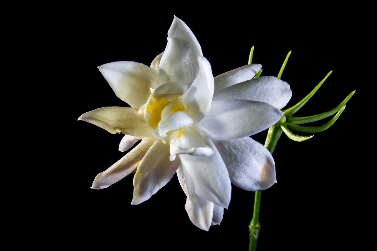 秀山人才網(wǎng)最新招聘動(dòng)態(tài)，職業(yè)發(fā)展的黃金機(jī)會(huì)探索