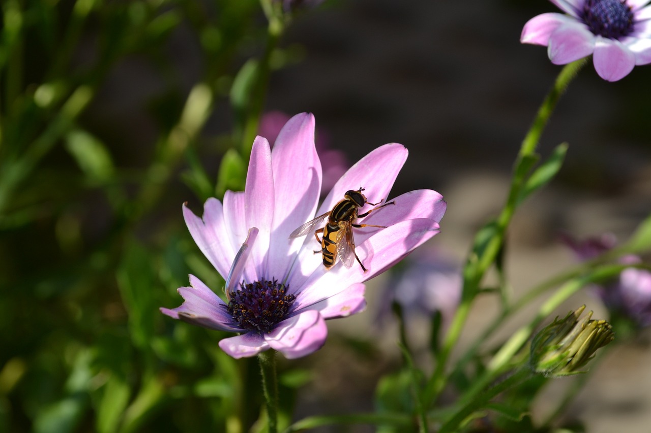 溧陽二十八所最新招聘動態(tài)與職業(yè)發(fā)展機(jī)會深度探討