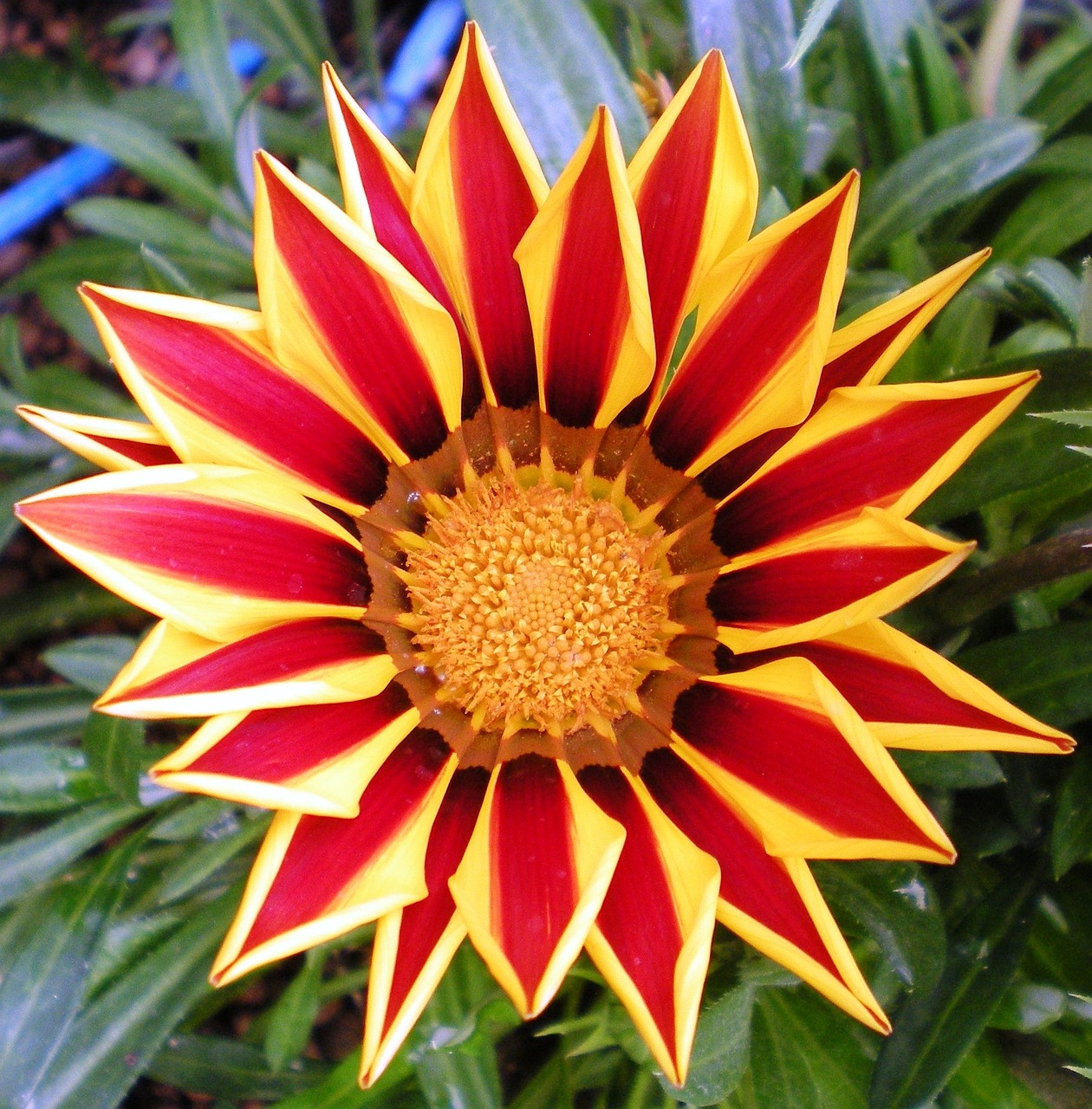 最新臺風(fēng)動態(tài)及影響分析，動向、影響與應(yīng)對策略