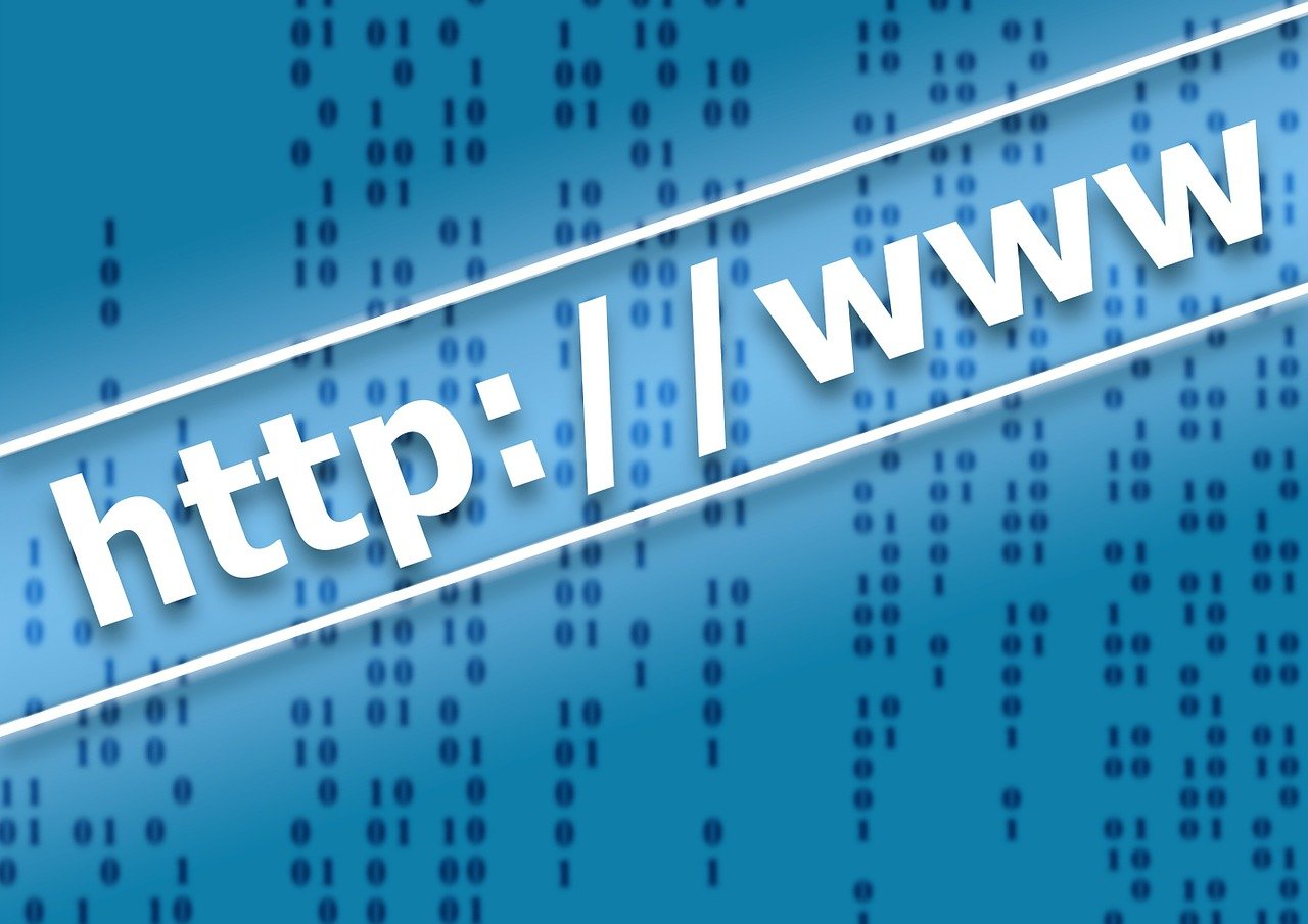 最新種子網(wǎng)站的發(fā)展態(tài)勢(shì)與特點(diǎn)深度解析