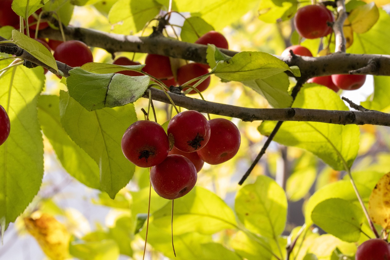 渠縣最新新聞動(dòng)態(tài)報(bào)道速遞