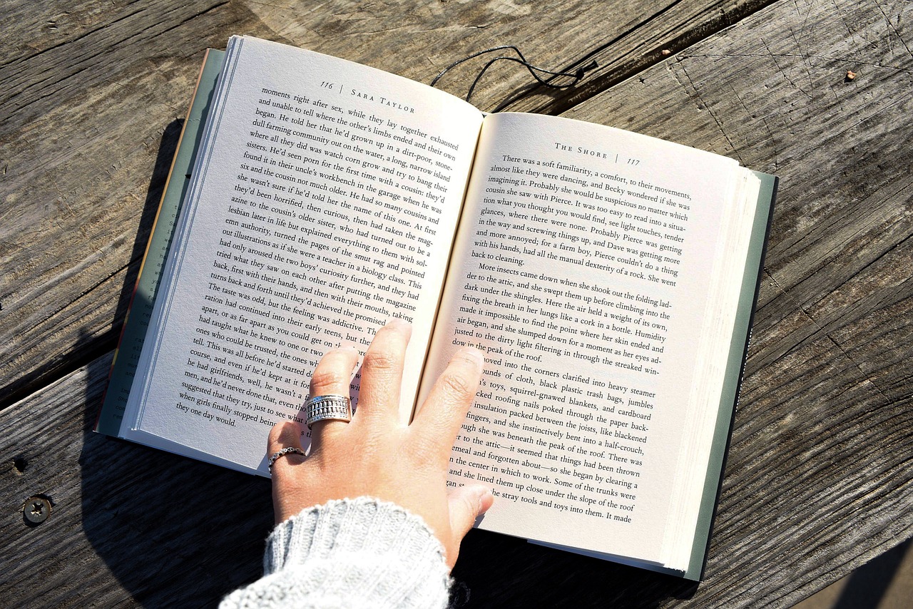 2024新奧正版資料免費提供,可靠性執(zhí)行策略_用戶版0.566