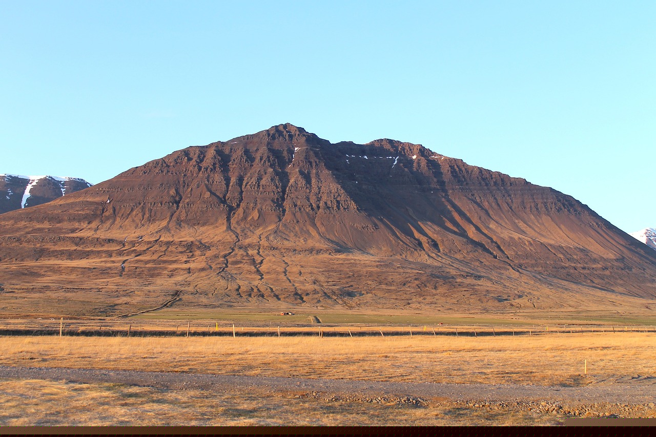 體育新星張琳艷的最新動(dòng)態(tài)與輝煌成就