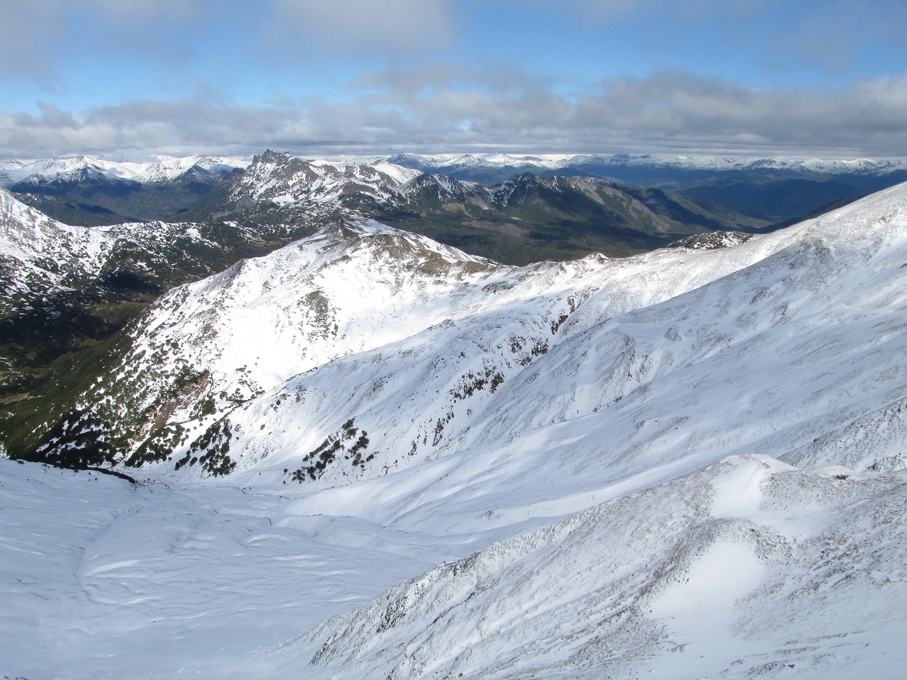 伊藤舞雪最新動(dòng)態(tài)，藝術(shù)與才華的璀璨綻放