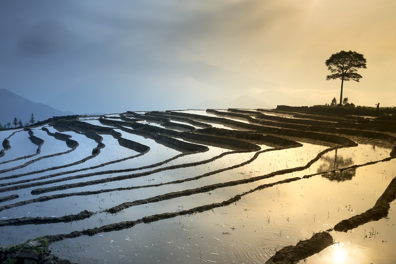 大陸與臺灣文化交流、經(jīng)濟(jì)發(fā)展與和平穩(wěn)定的最新態(tài)勢。