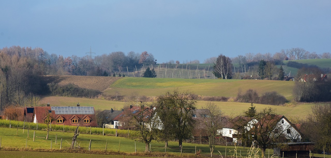 蓮花健康最新動(dòng)態(tài)解讀，健康產(chǎn)業(yè)蓬勃發(fā)展及前景展望