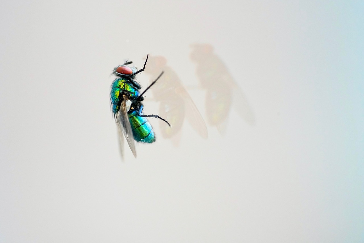 天天炫斗最新版本的下載及游戲介紹與體驗(yàn)分享