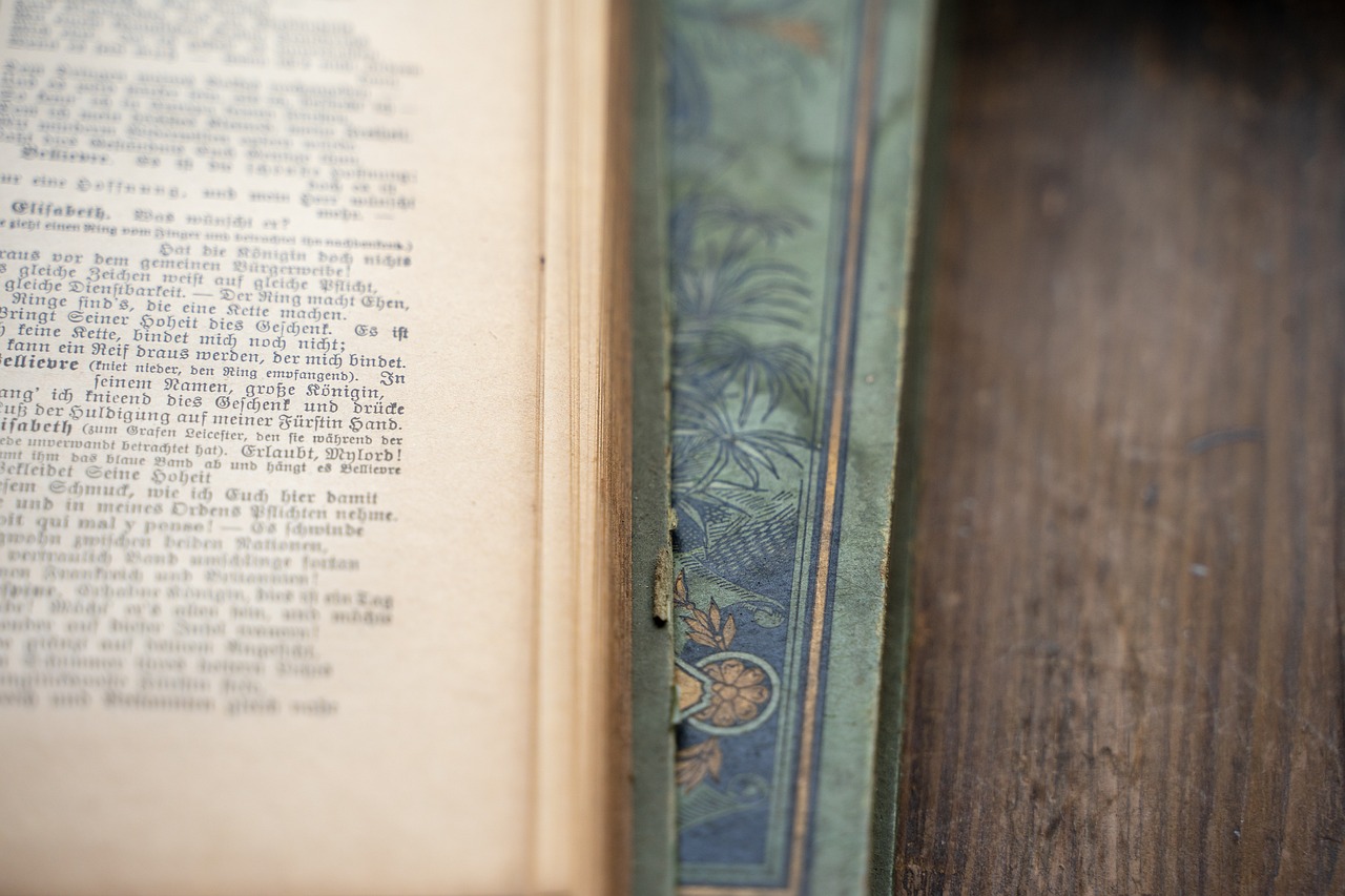 柴雞蛋最新小說揭秘，文學世界的新篇章探索