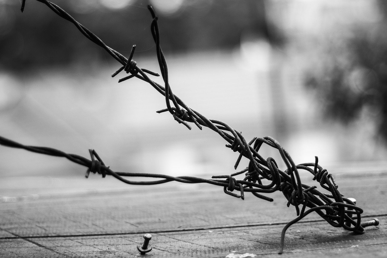 徐錚最新力作，探索藝術(shù)邊界的銀幕之旅