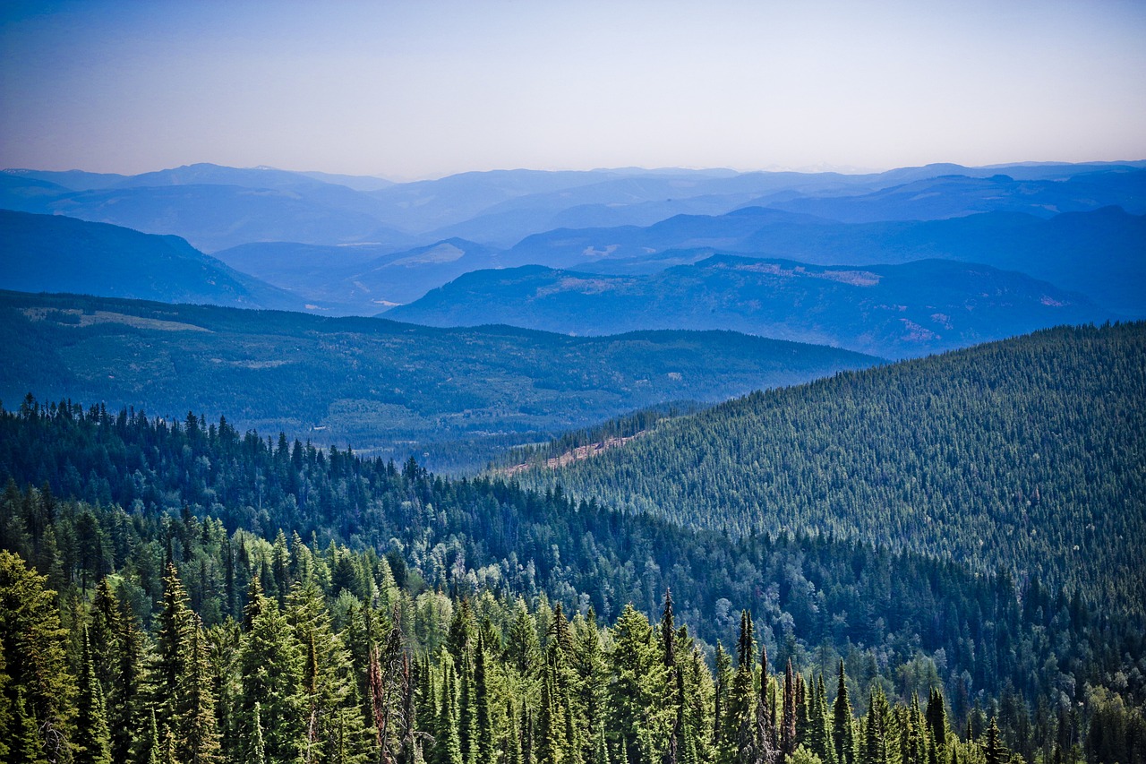 眾和股份最新動態(tài)全面解讀