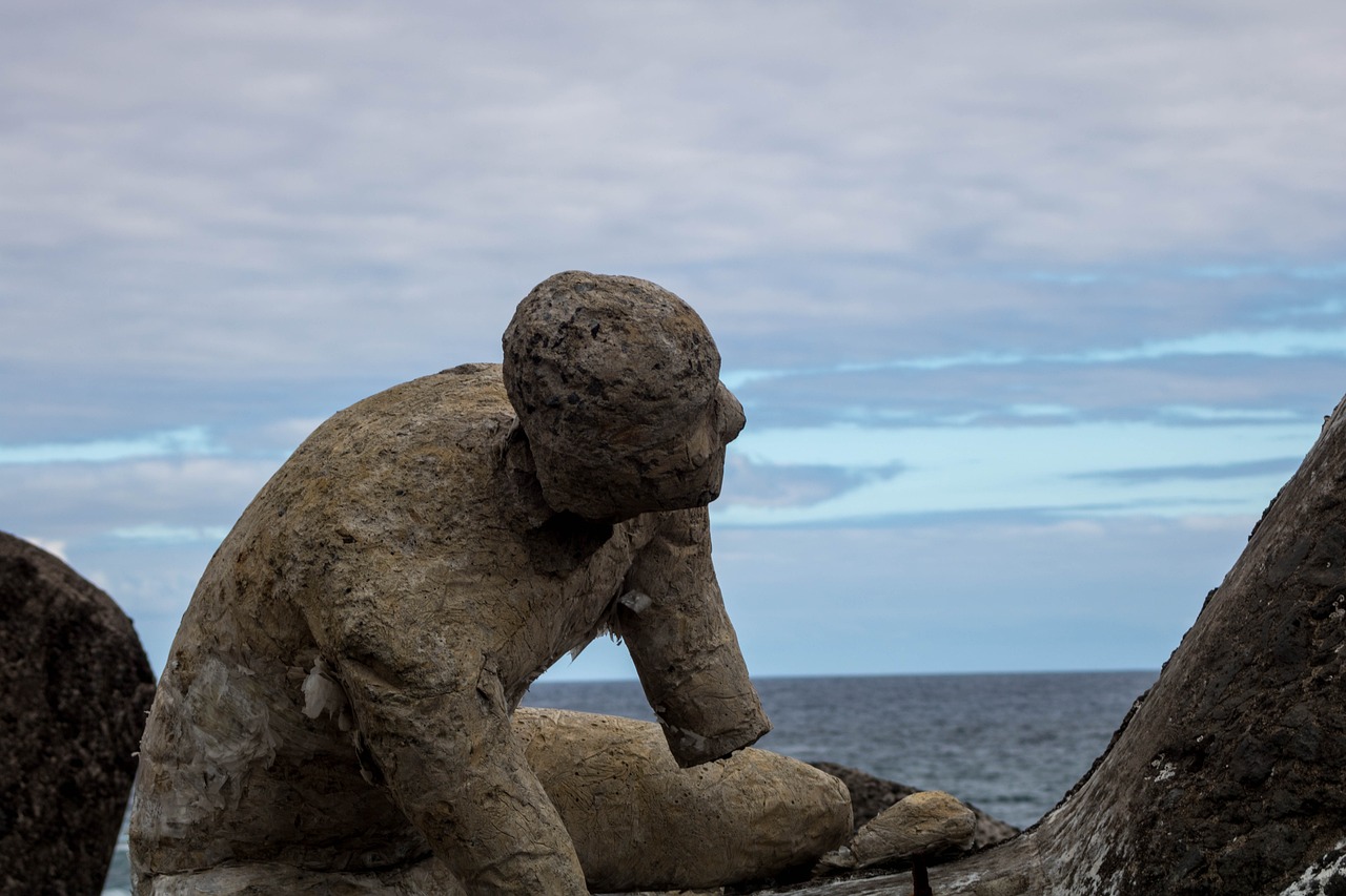 四川雙馬最新動態(tài)，發(fā)展與變革的脈搏
