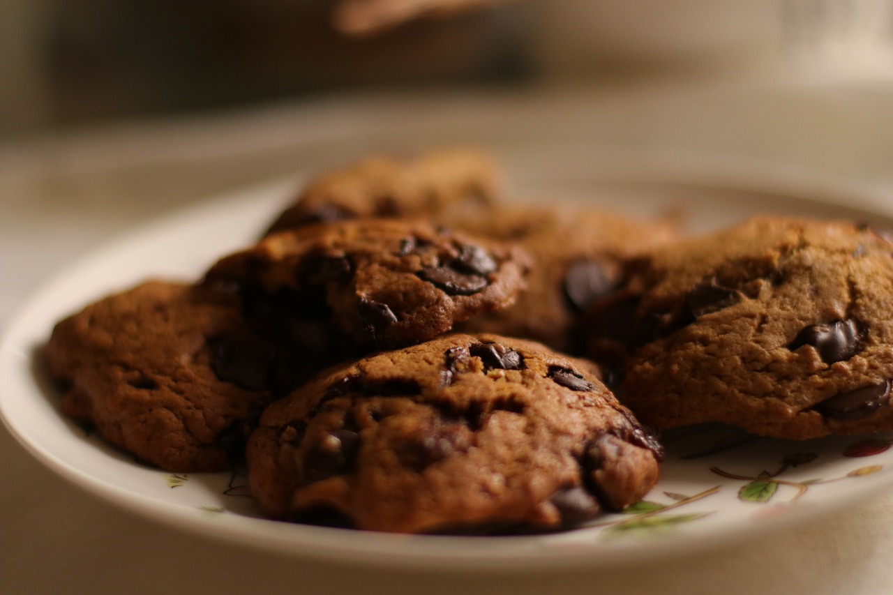 楊光快樂生活的最新動態(tài)，探索無限可能的快樂生活之旅