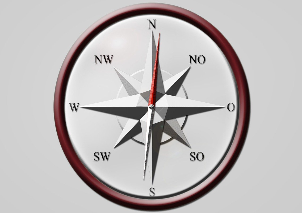 中日最新搏擊交流與發(fā)展趨勢分析，探索中日搏擊的未來方向