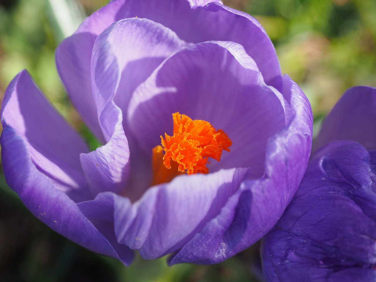 家電創(chuàng)新技術(shù)與發(fā)展趨勢(shì)的最新動(dòng)態(tài)