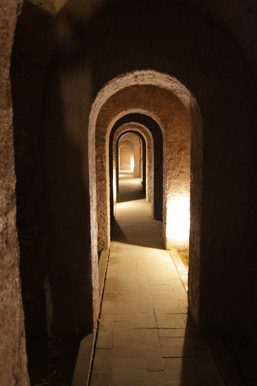 沉香最新視頻探索與賞析，深度探索沉香之美