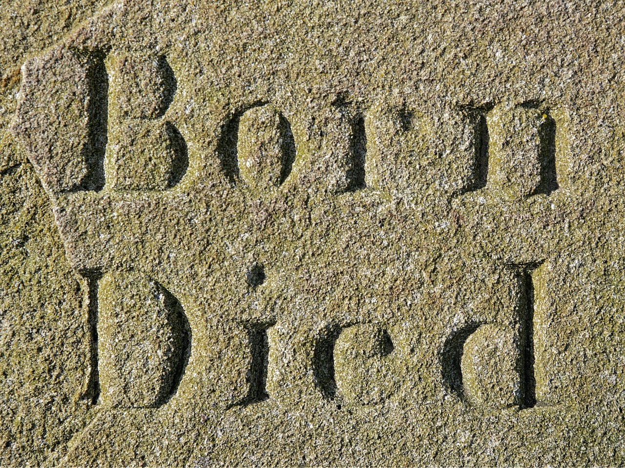 保定文津花園最新動態(tài)，打造宜居環(huán)境，引領(lǐng)現(xiàn)代生活潮流新進展