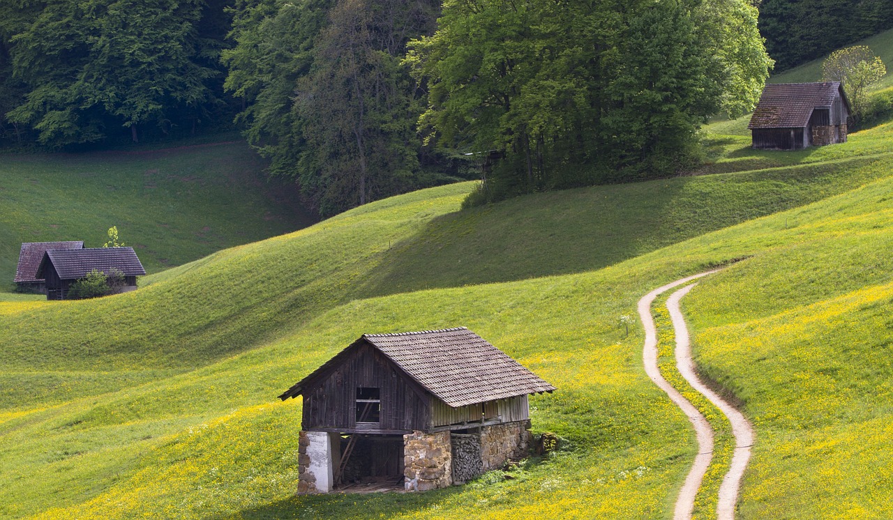農(nóng)業(yè)論壇最新地址及前沿動(dòng)態(tài)與技術(shù)交流探討會(huì)