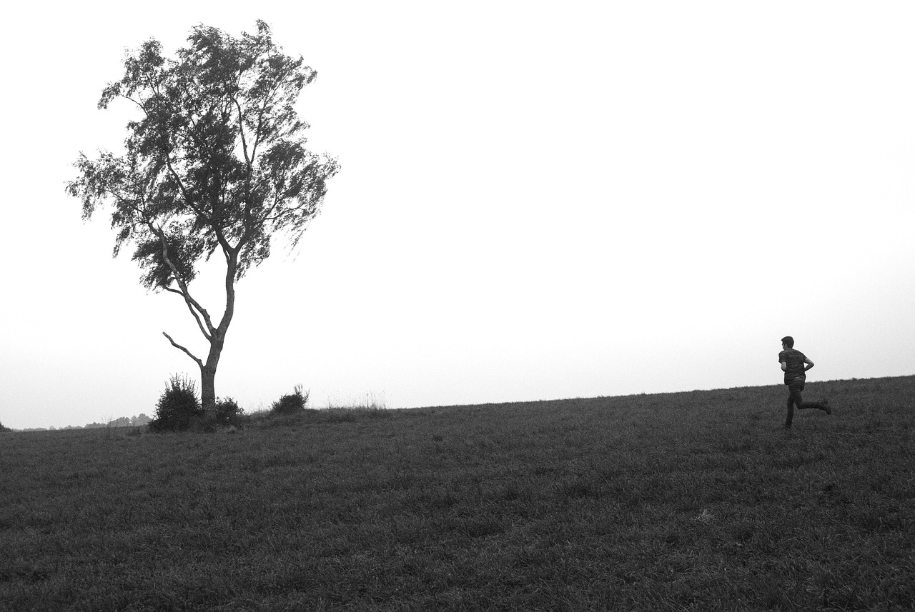 心在流浪最新小說(shuō)，探尋內(nèi)心的漂泊與歸宿之旅