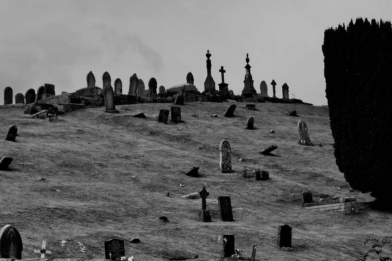 2024年正版免費(fèi)天天開彩,最新動(dòng)態(tài)方案_迅速版70.68