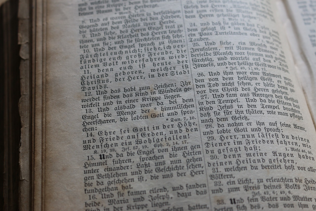 超級仙學院最新章節(jié)探秘與深度評析