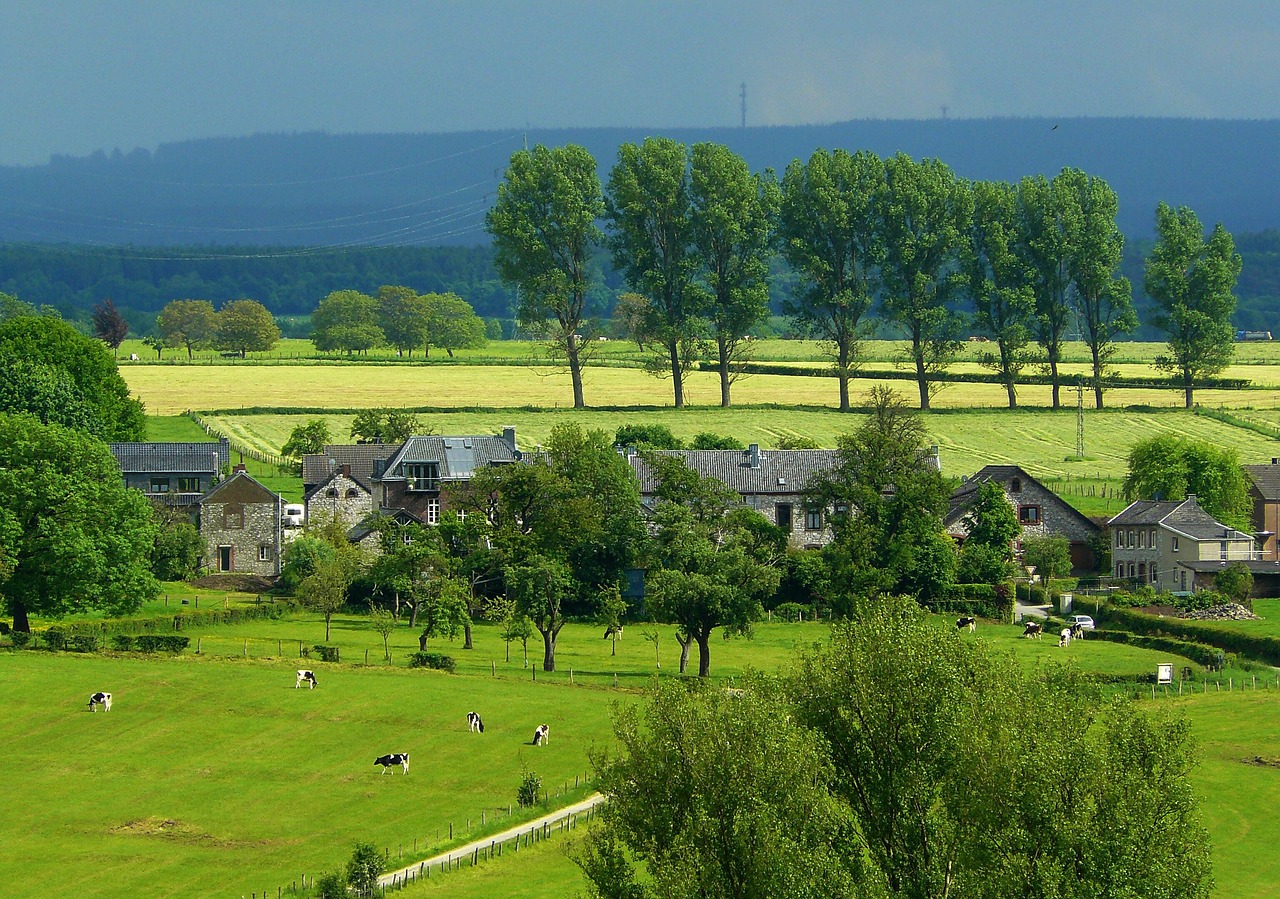 有機農(nóng)業(yè)最新網(wǎng)站概覽與趨勢分析，有機zz網(wǎng)站發(fā)展動態(tài)及趨勢展望